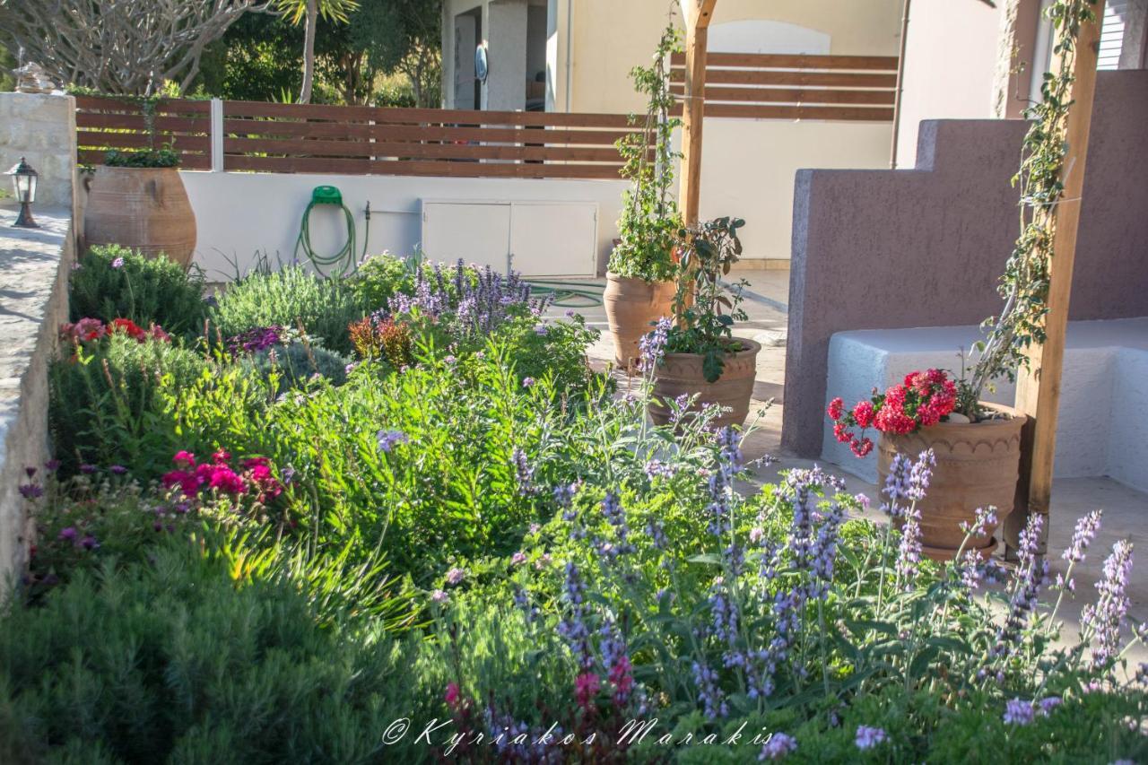 La Casa Del Vitsi Διαμέρισμα Παλαιοχώρα Εξωτερικό φωτογραφία