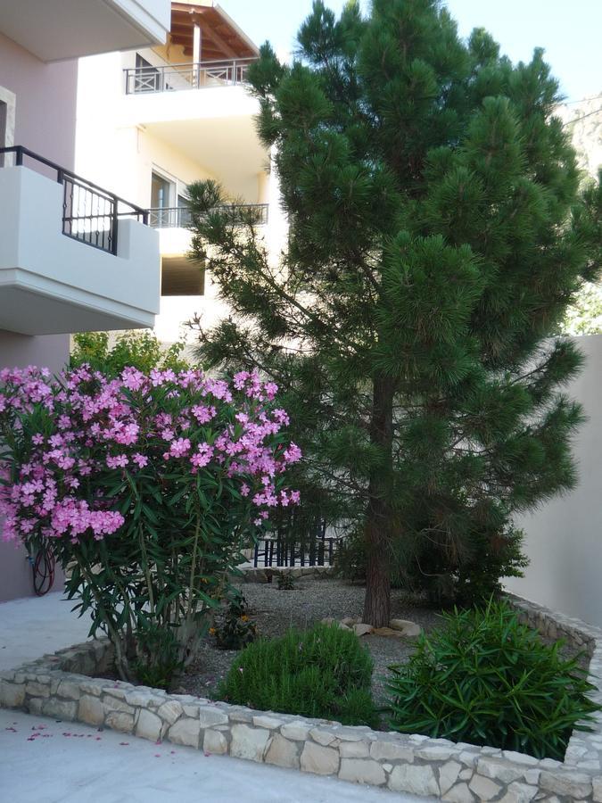 La Casa Del Vitsi Διαμέρισμα Παλαιοχώρα Εξωτερικό φωτογραφία